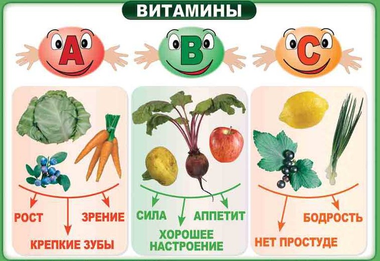 Полезные свойства витаминов A B C