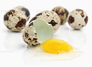 перепелиные яйца вред и польза